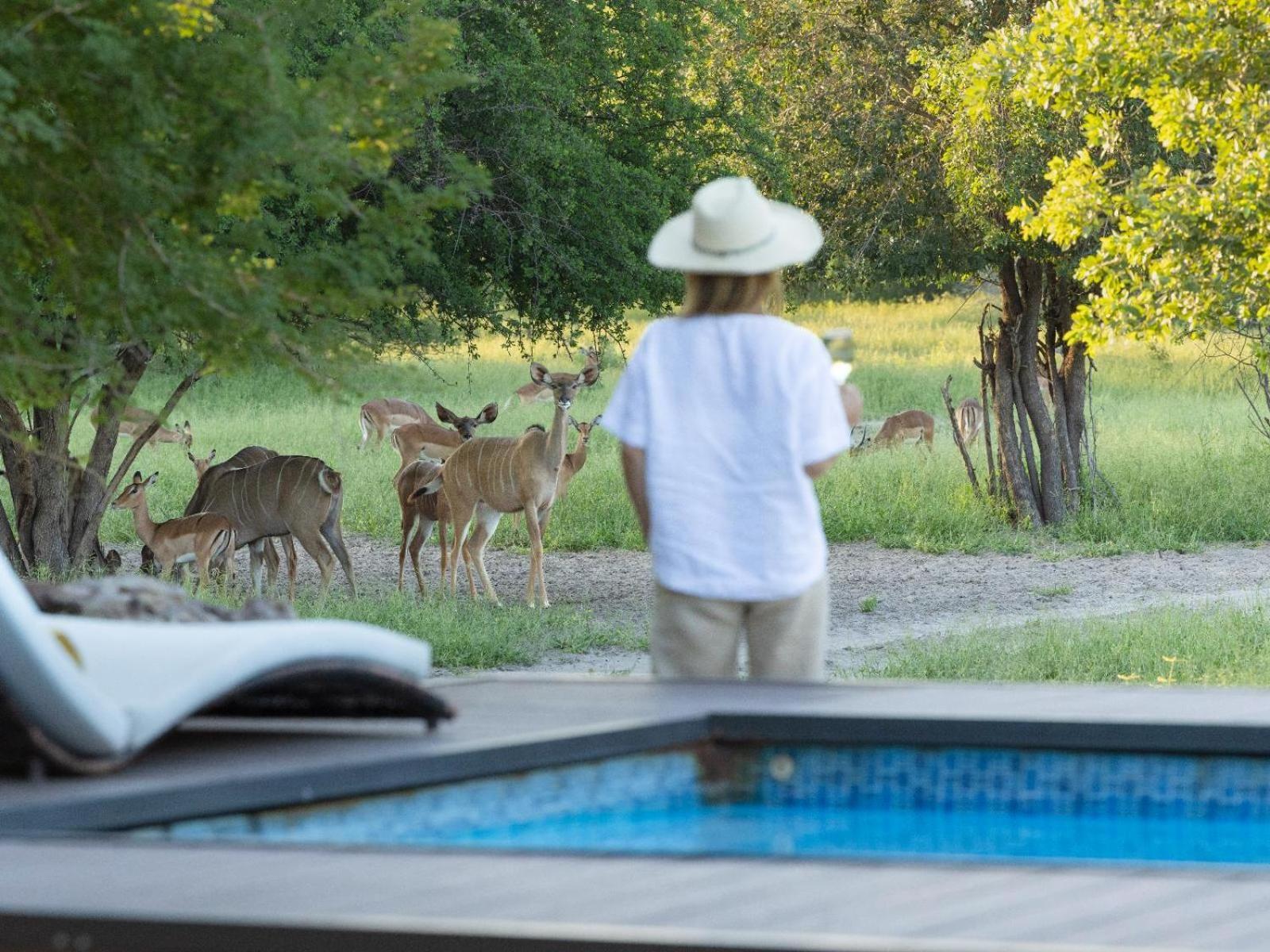 Leopard Plains Villa Motopi Ngoại thất bức ảnh